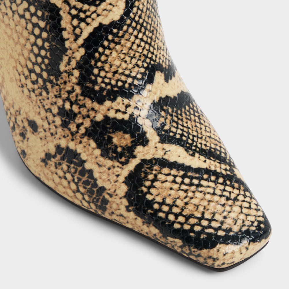 Aldo Women's Vivienna - Brown multi