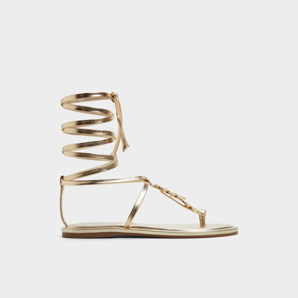 Aldo Women's Artemisa - Gold