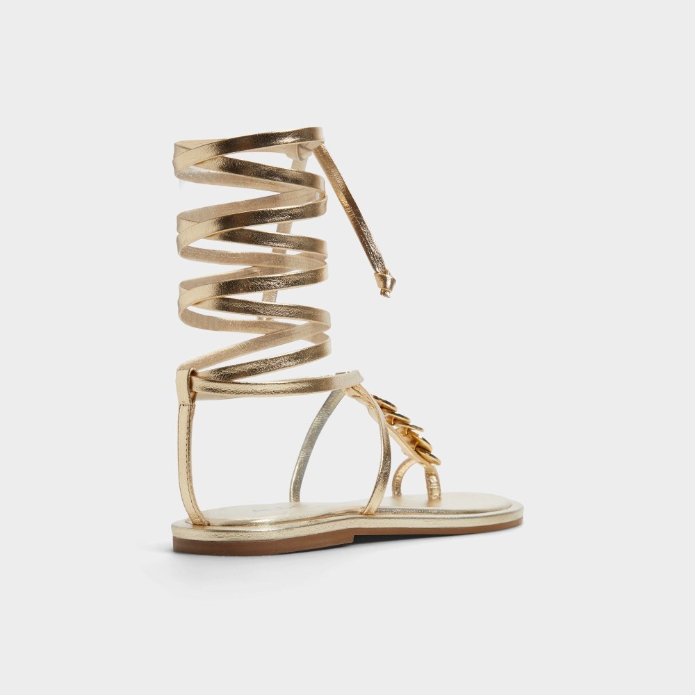 Aldo Women's Artemisa - Gold