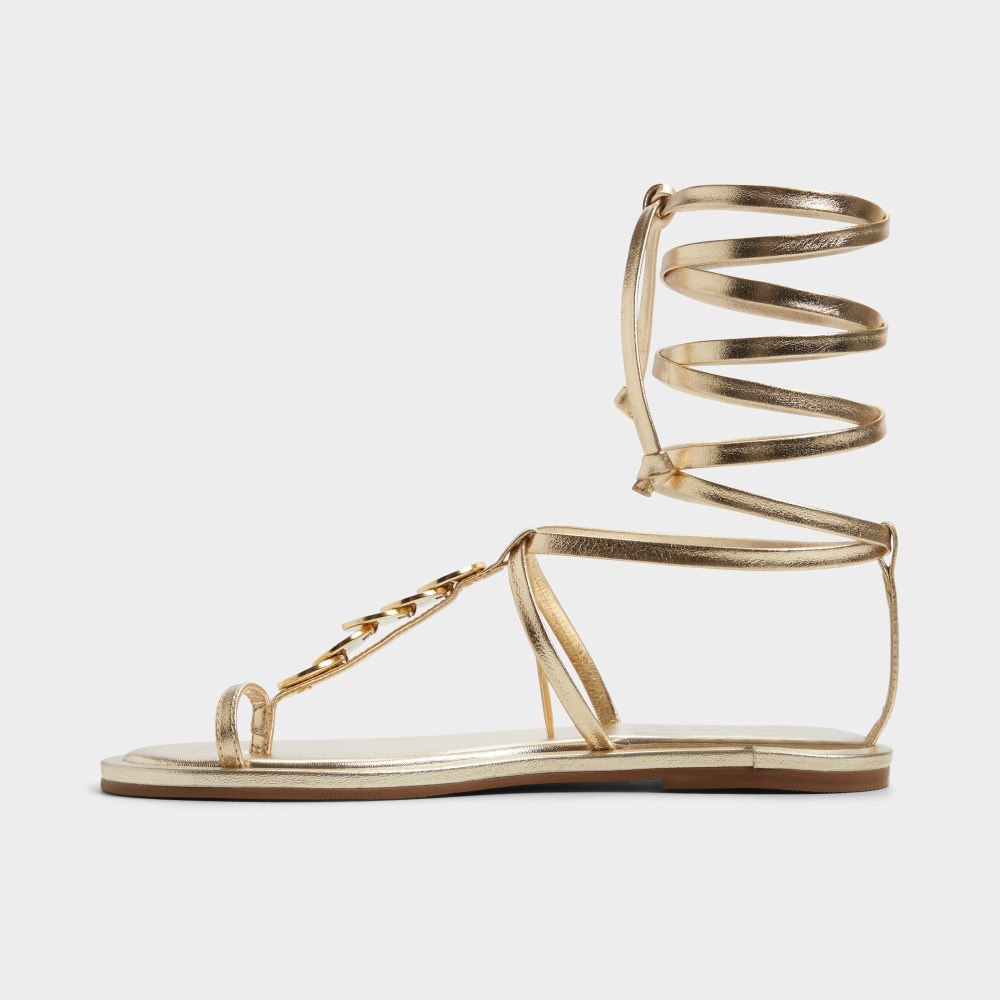 Aldo Women's Artemisa - Gold