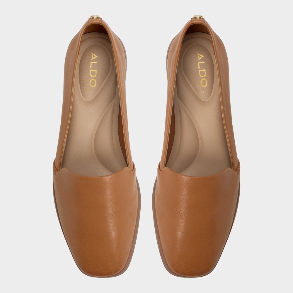 Aldo Women's Caraelia - Medium brown