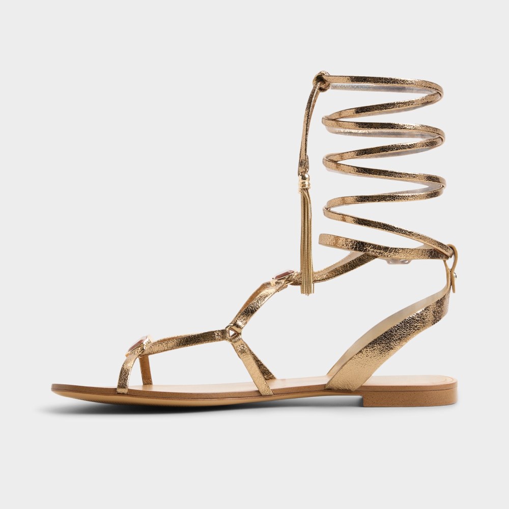 Aldo Women's Andrina - Gold
