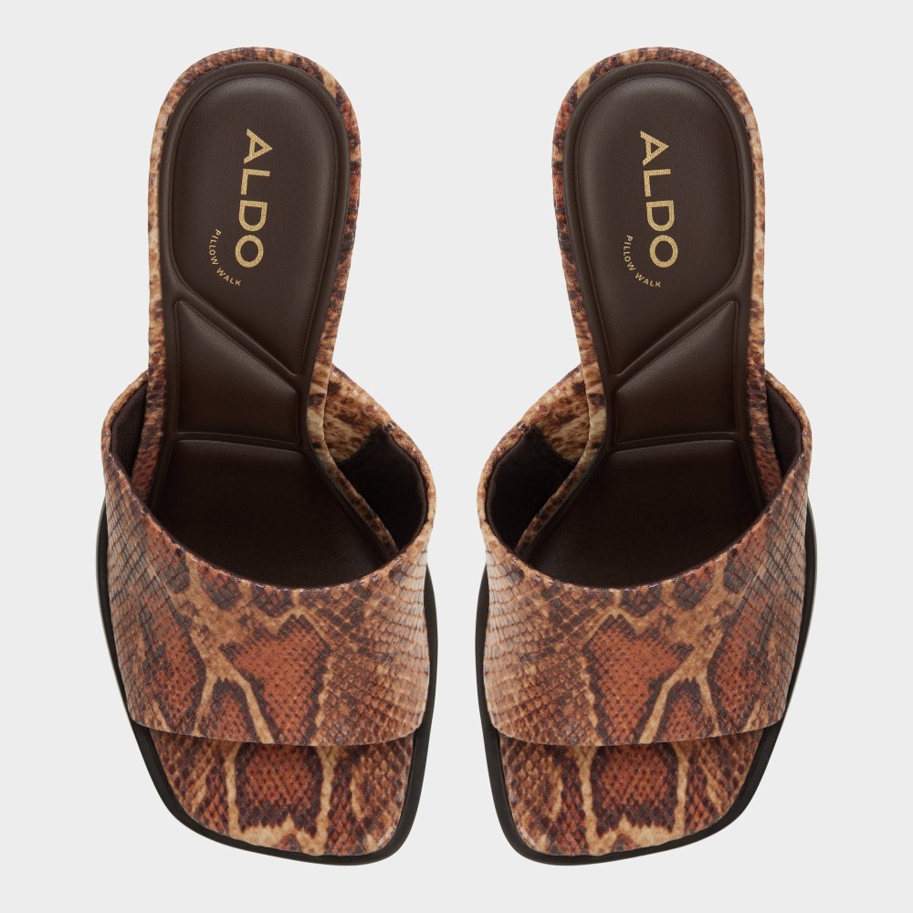 Aldo Women's Re-sophia - Brown multi