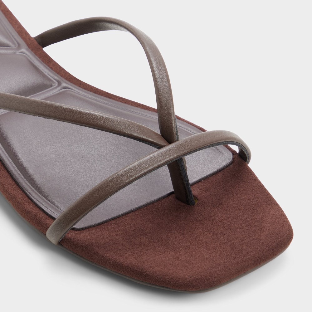 Aldo Women's Stivie - Dark brown