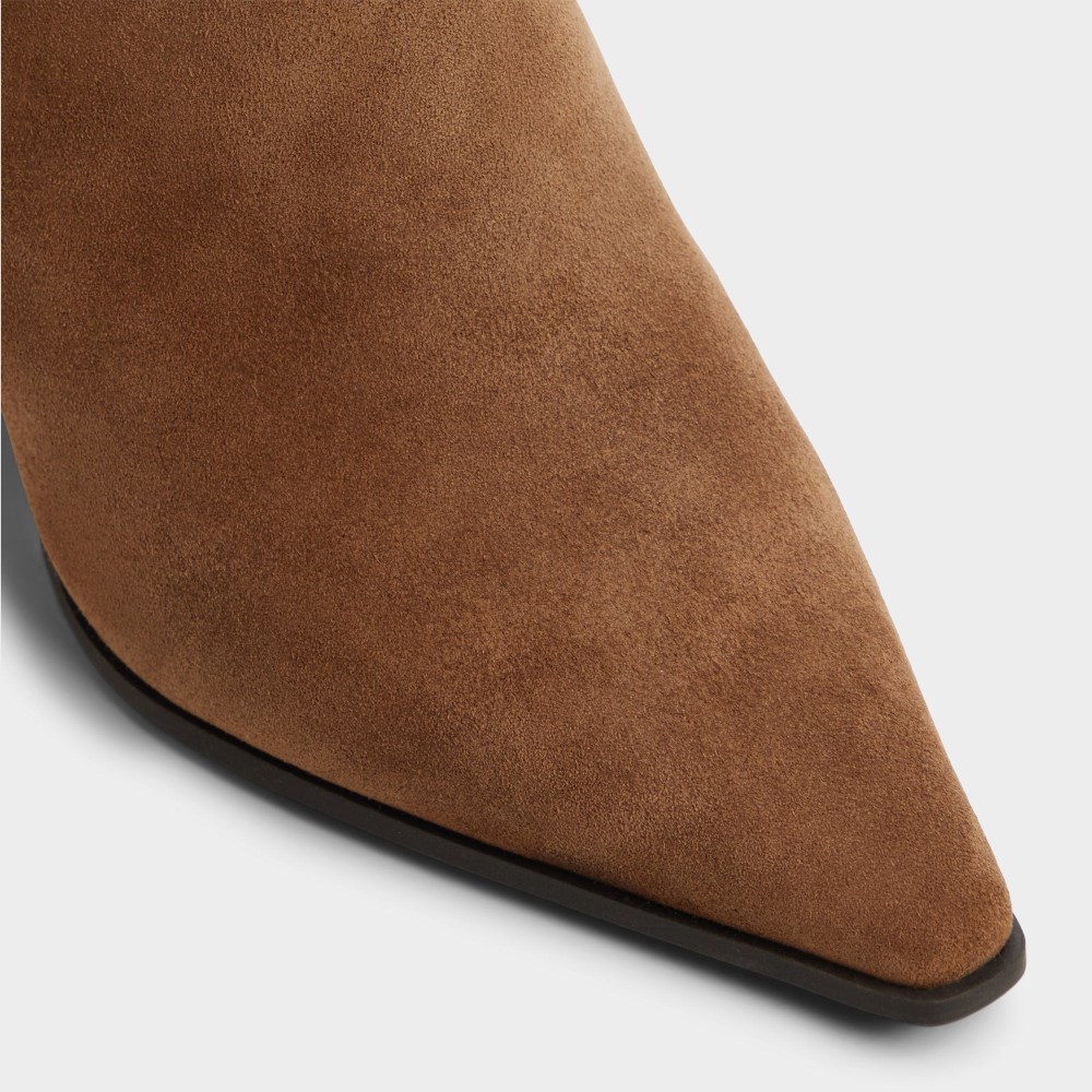 Aldo Women's Kaelya - Dark brown