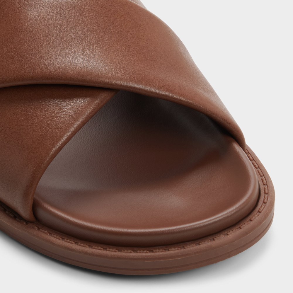 Aldo Men's Borgo - Dark brown