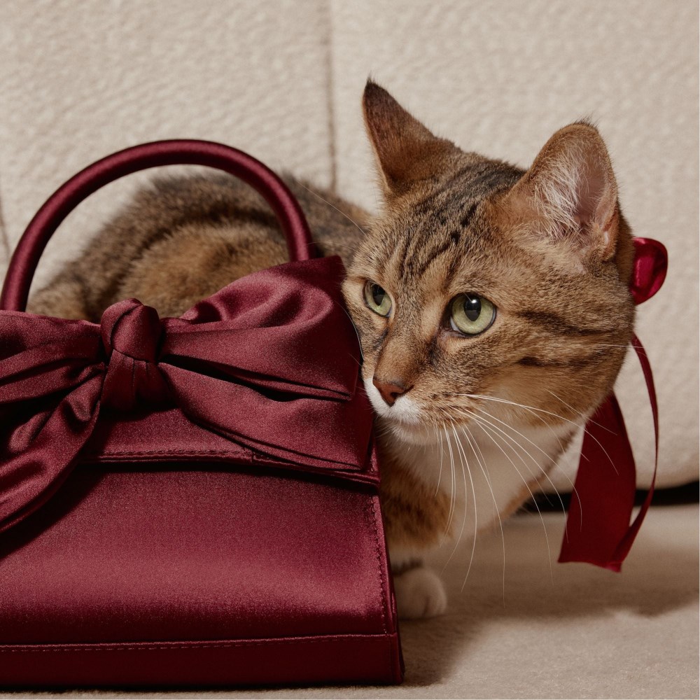 New Arrivals Aldo Decadencee - Dark Red