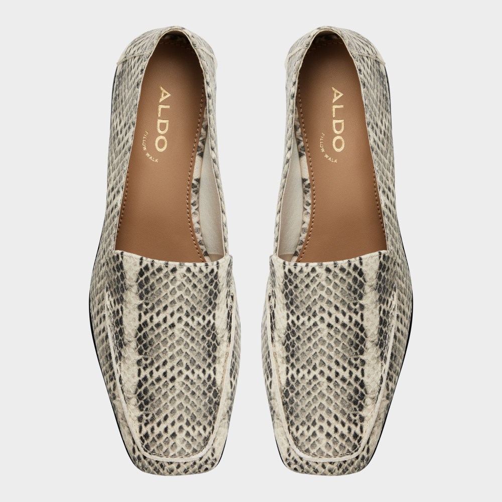 Aldo Women's Carrobreria - Beige combo