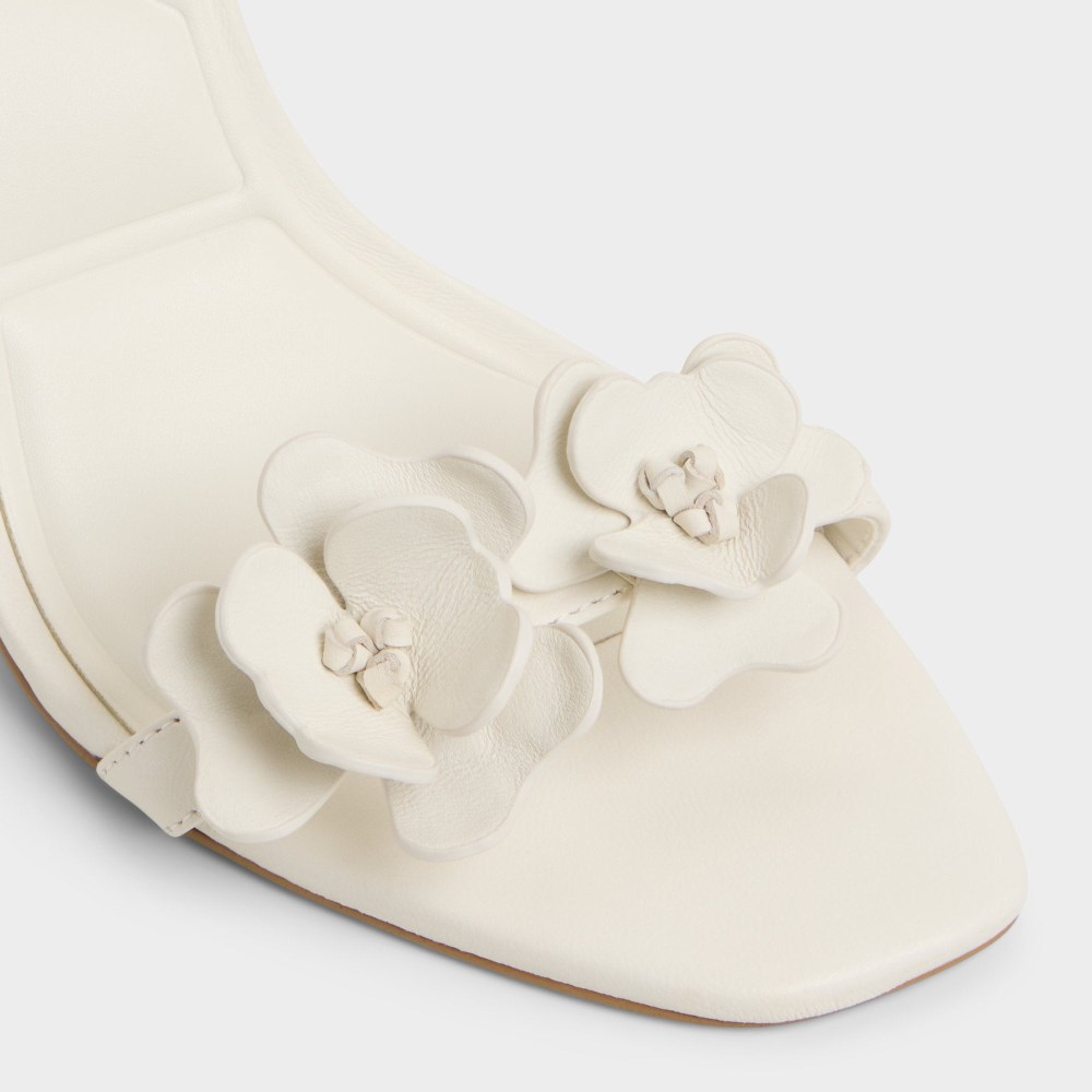 Aldo Women's Daisylily - White/bone