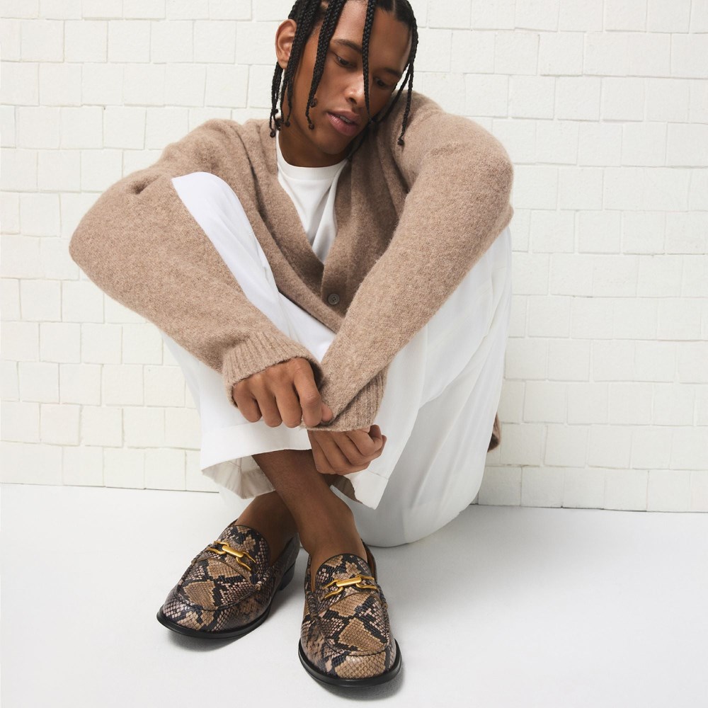 Aldo Men's Edouard - Brown multi