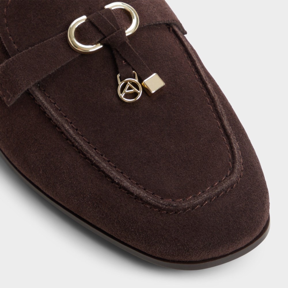 Aldo Women's Ybilide - Dark brown