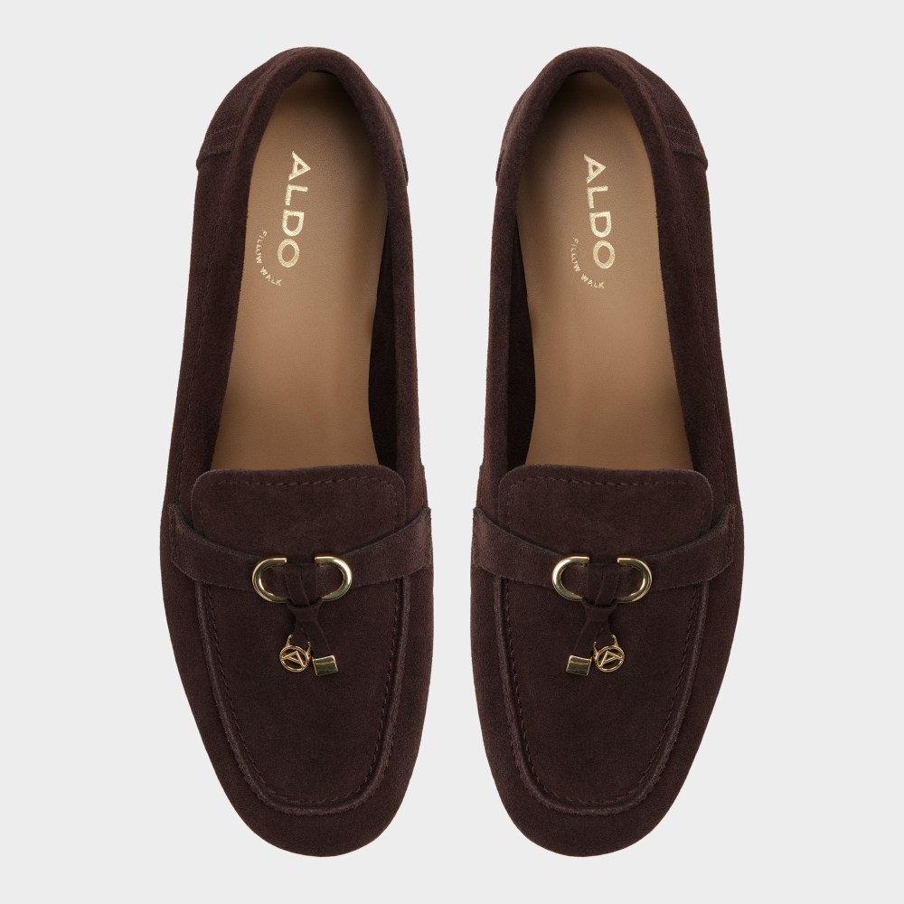 Aldo Women's Ybilide - Dark brown