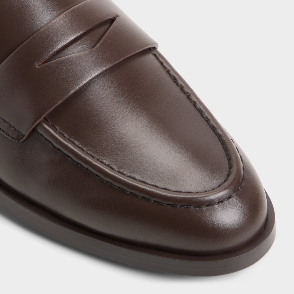 Aldo Women's Adaladar - Dark brown