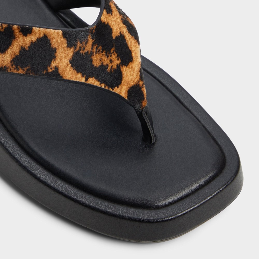 Aldo Women's Grettle - Brown Multi