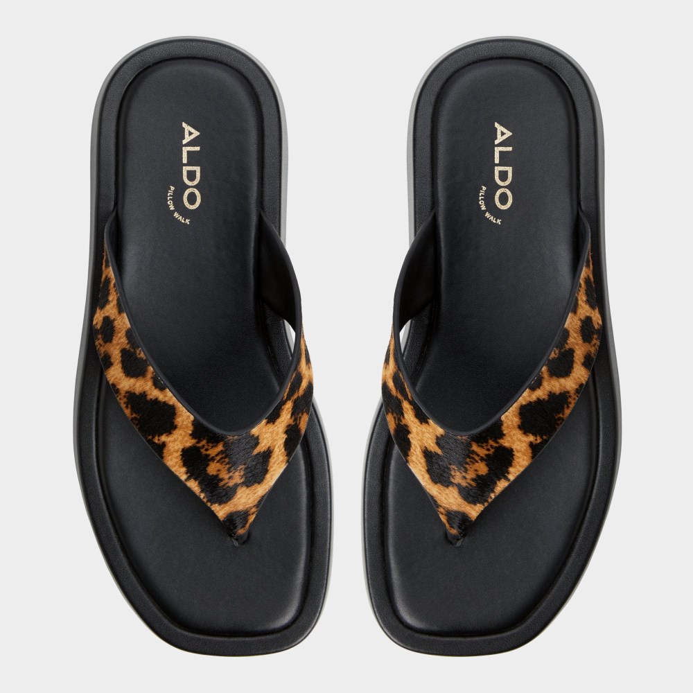 Aldo Women's Grettle - Brown Multi